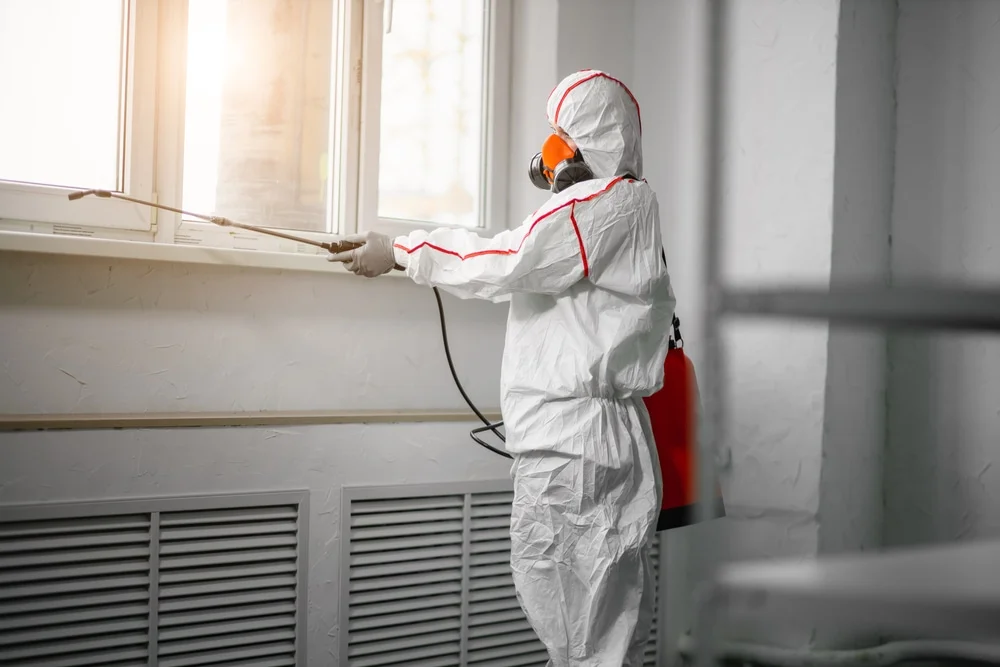 Professional mold remediation services in Carthage, IN